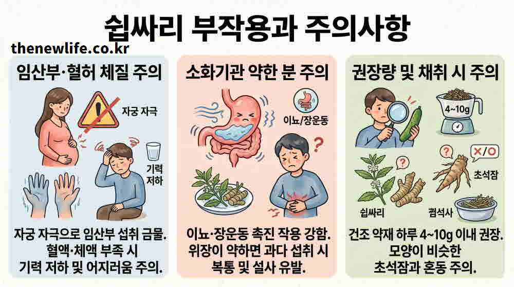 쉽싸리 효능 부작용