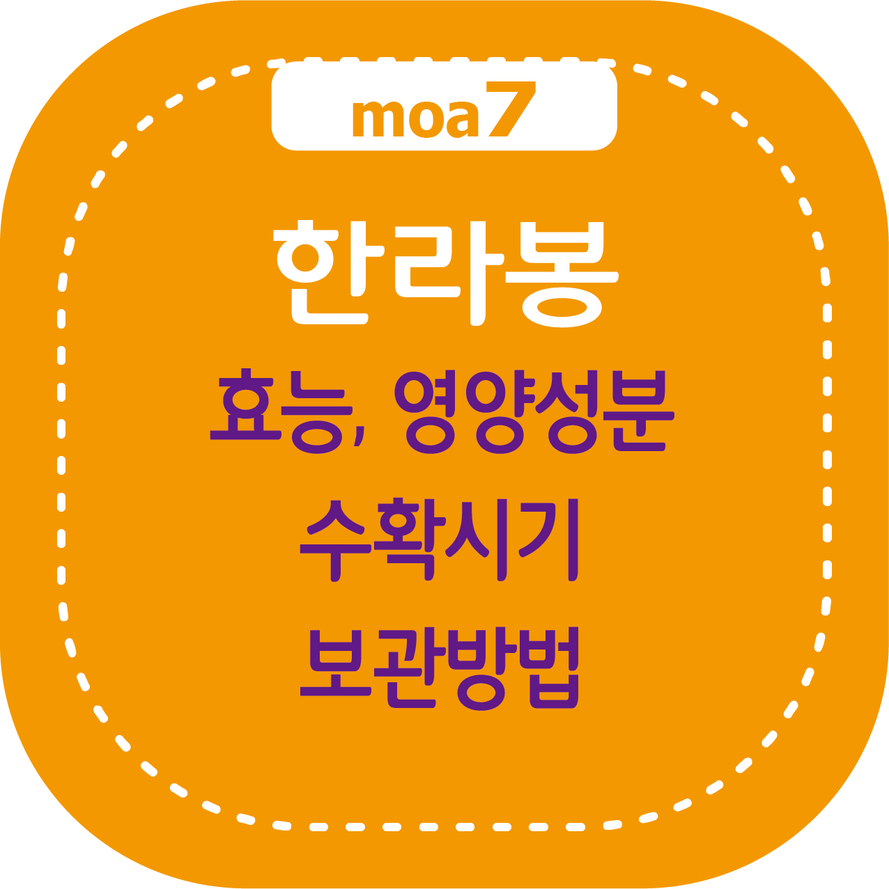 한라봉 효능, 영양 성분, 수확시기, 보관방법