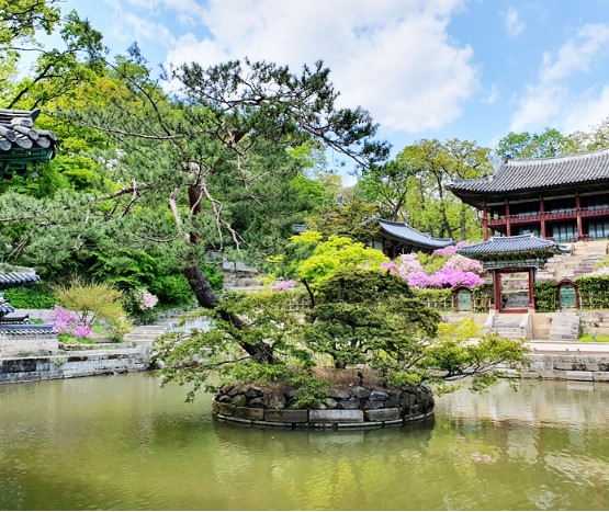 창덕궁 후원 예약