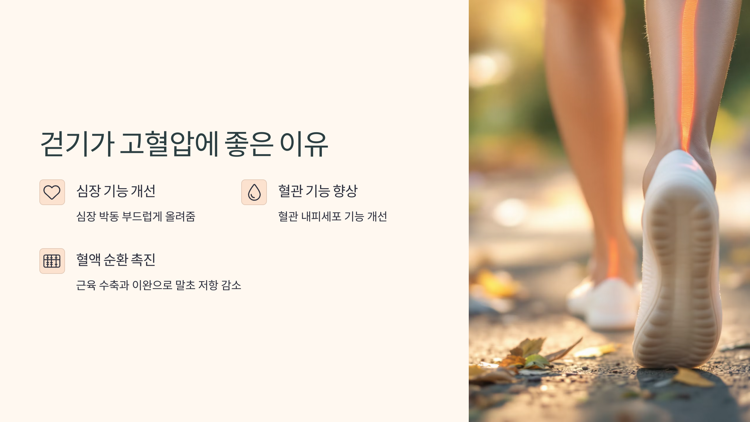 걷기가 고혈압에 좋은 이유
