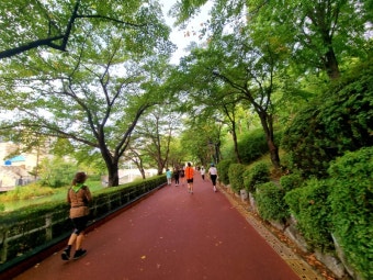 하루 10,000보 걷기