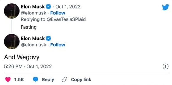 일론머스크 X (구 트위터)