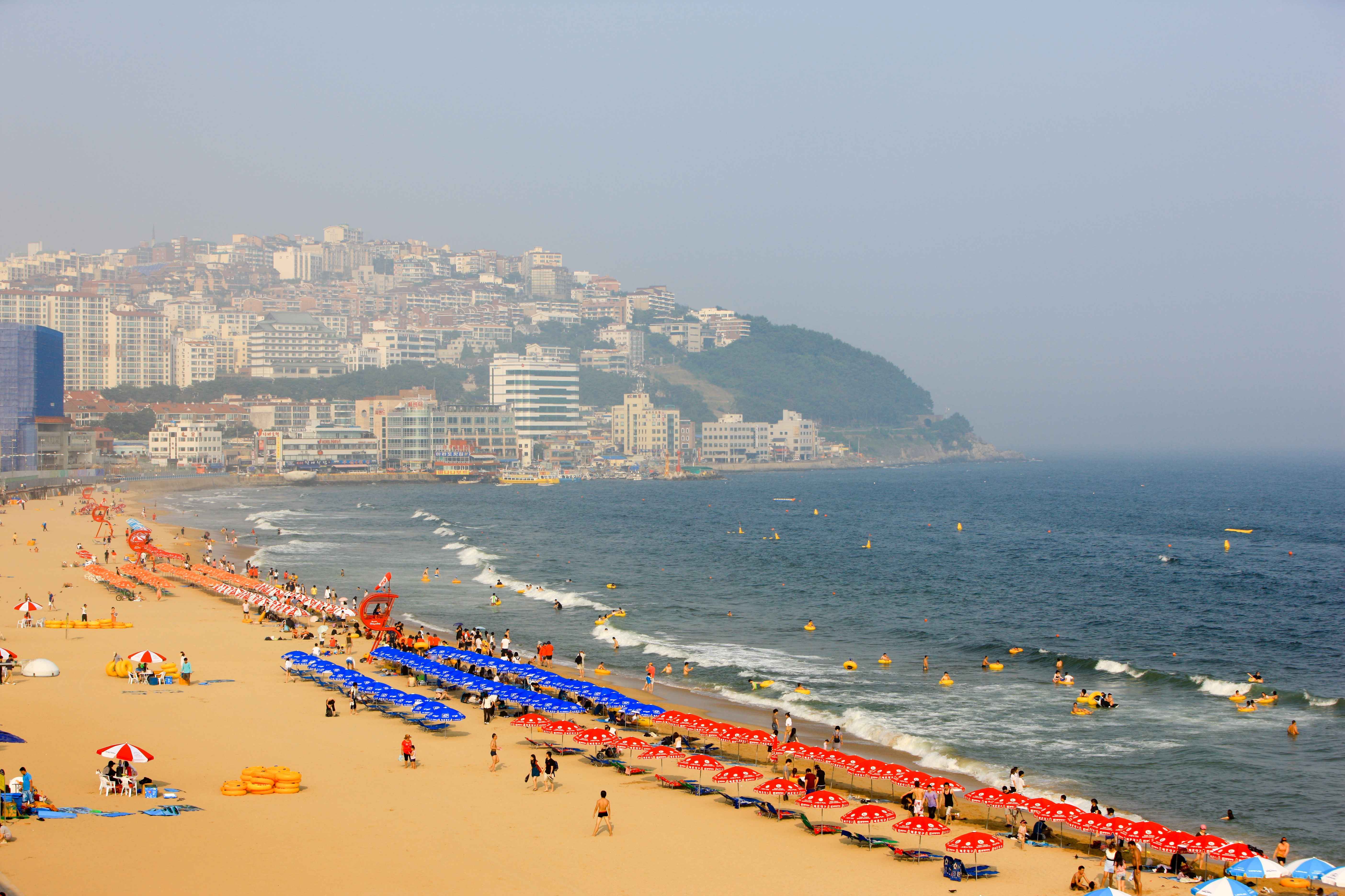 2025년 지역별 해수욕장 개장정보 총정리 (개장일&middot;야간개장&middot;제주도 포함)