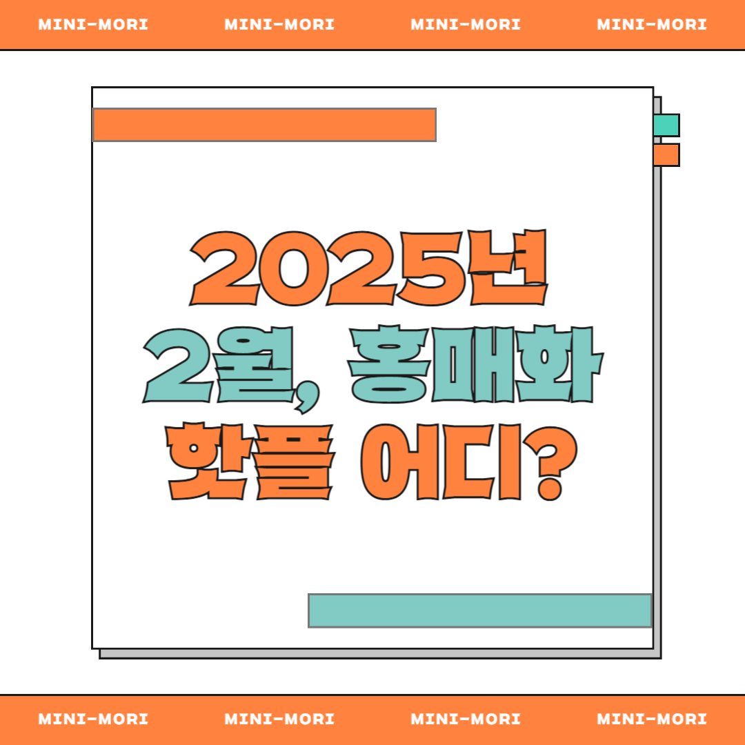 홍매화 축제