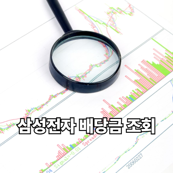 삼성전자 배당금 조회