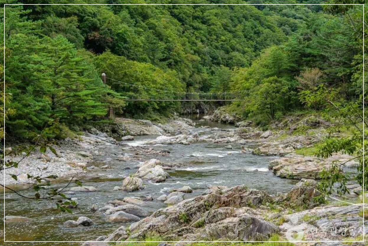 양구 가볼만한곳 베스트10 두타연