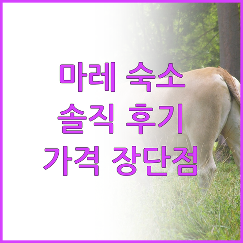 더 피플 파리 마레 숙박 후기, 솔직