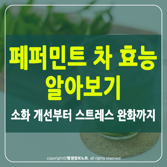 페퍼민트 차의 효능 썸네일