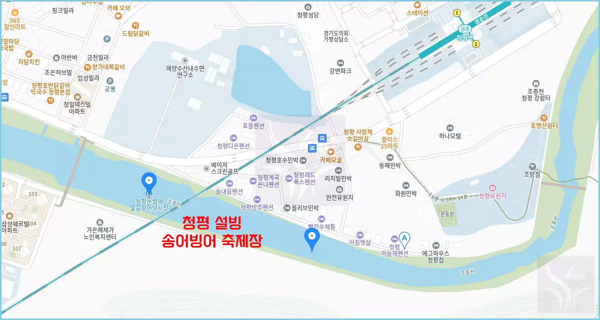 청평 설빙 송어빙어 축제장 위치