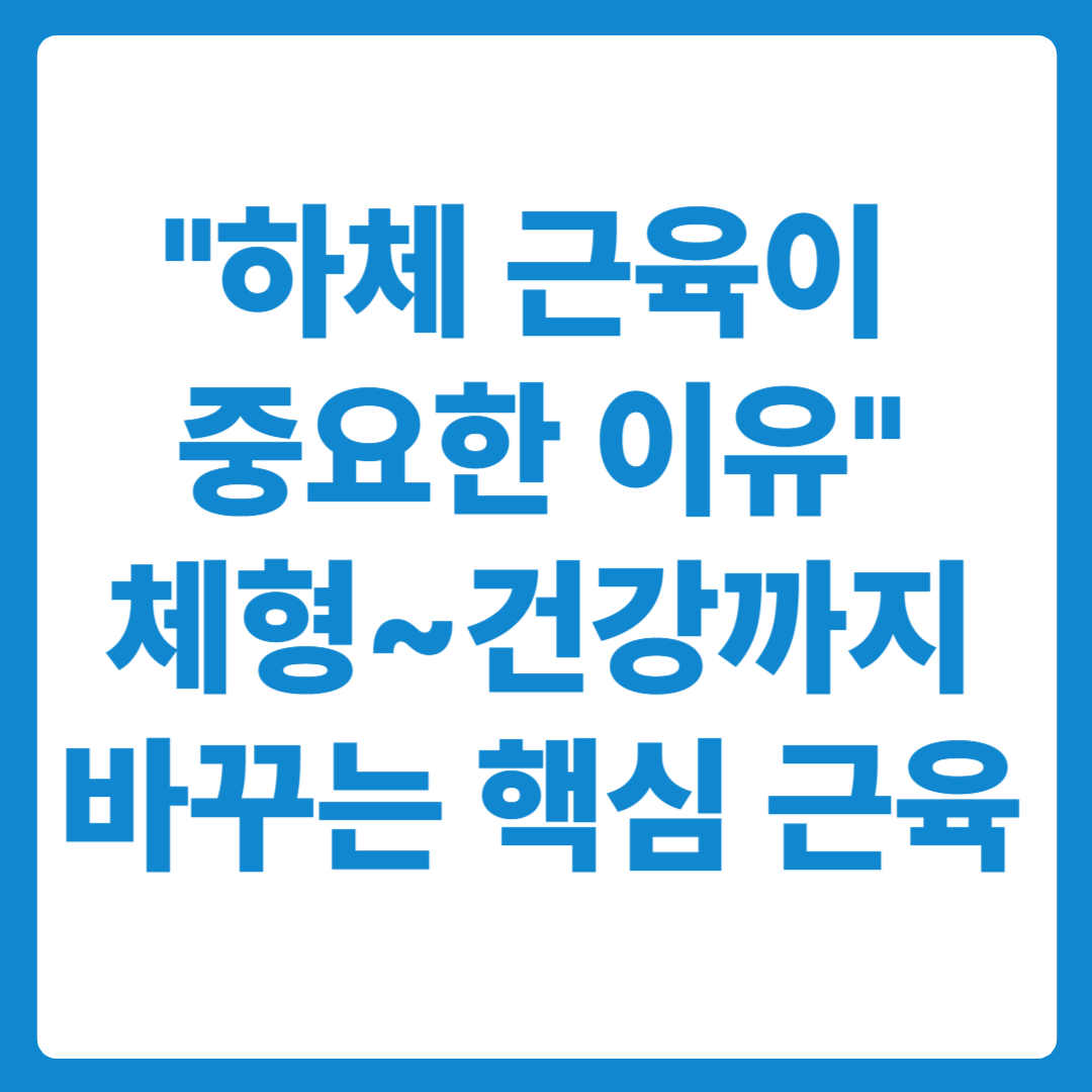 다이어트 홈트 대신 홈트트 하체운동 해야되는 이유 하체근육의 중요성