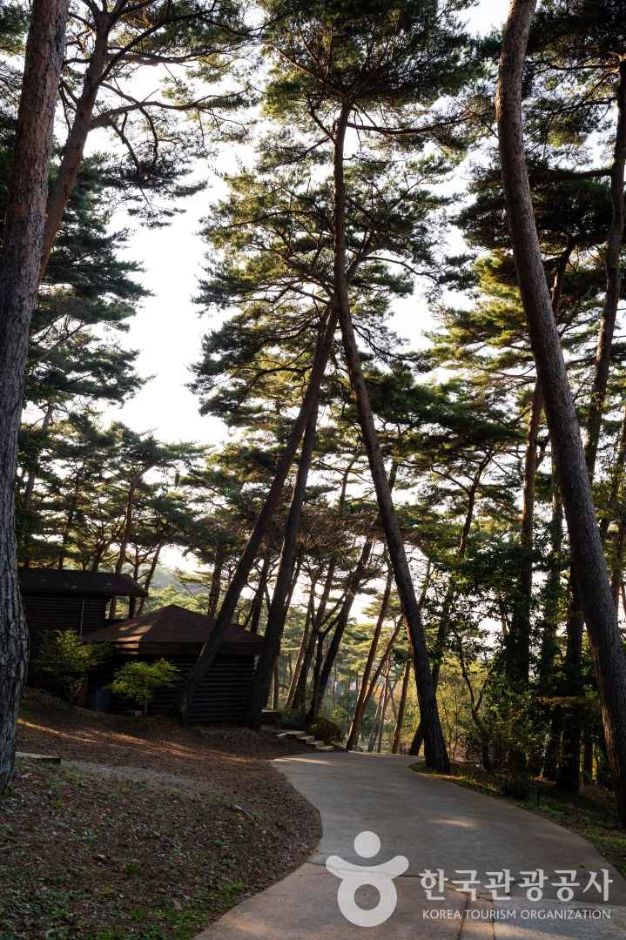 태안 가볼만한곳 베스트10