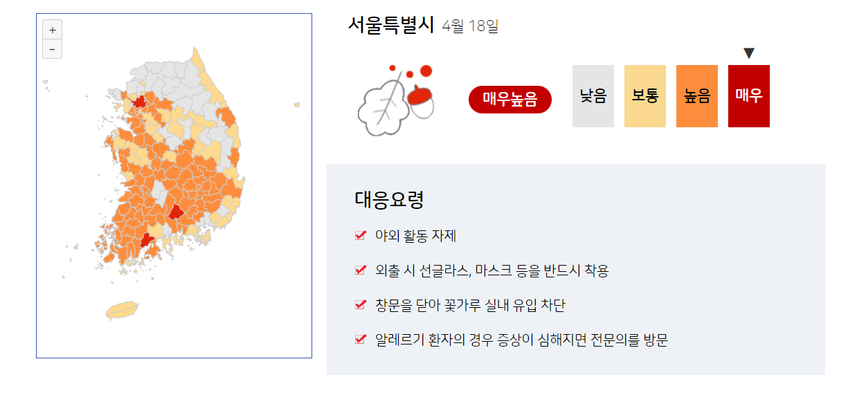 기상청 홈페이지 : 꽃가루 지수 확인 방법