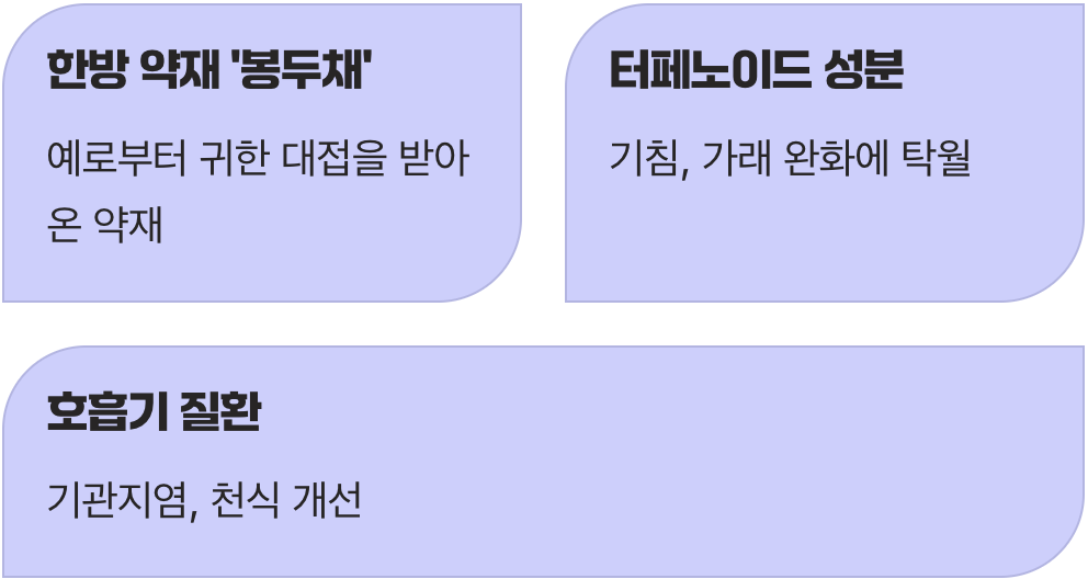 땅속의 보물&amp;#44; 귀한 뿌리줄기