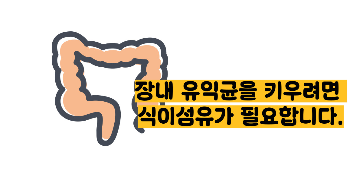 식이섬유가 많은 음식