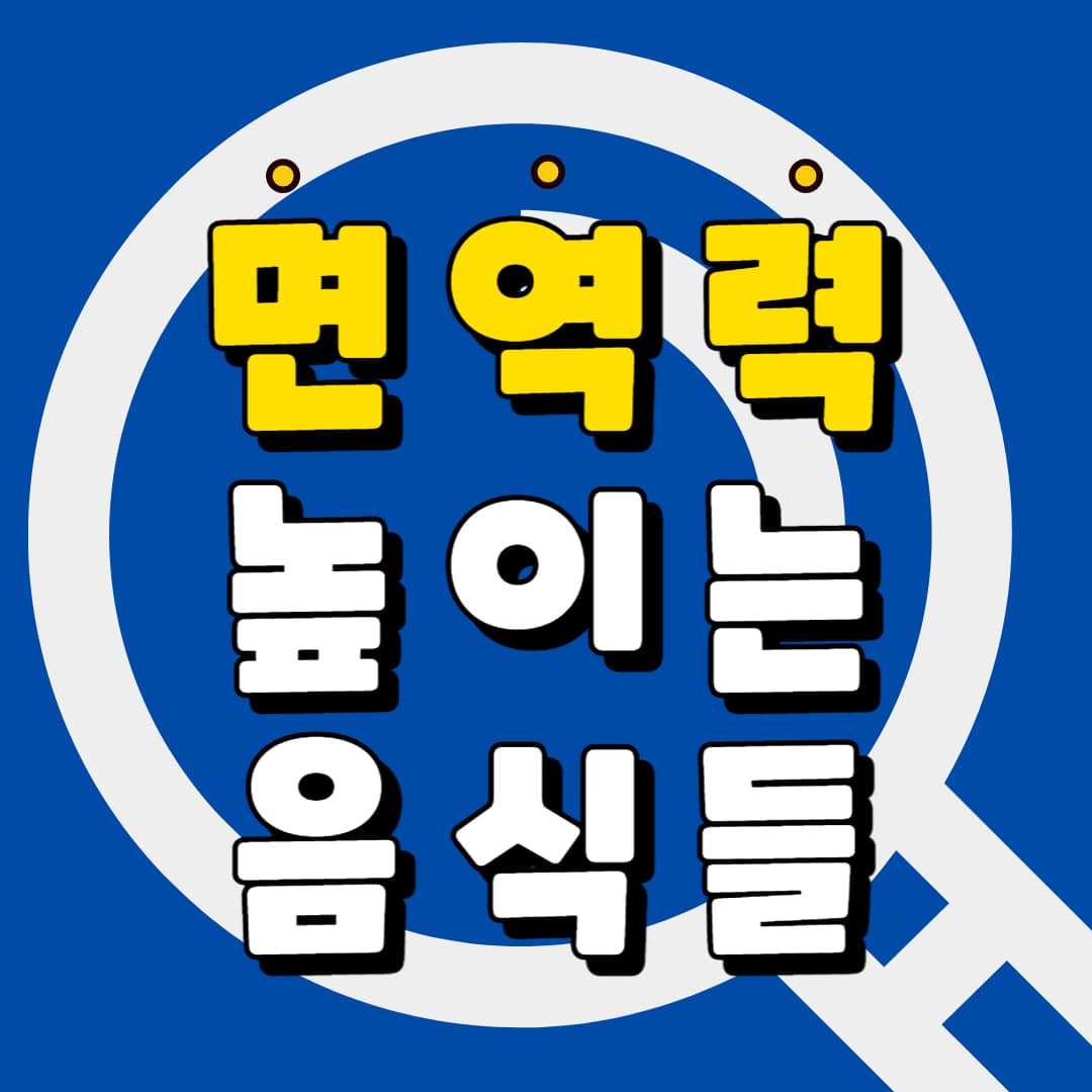 면역력 높이는 음식들