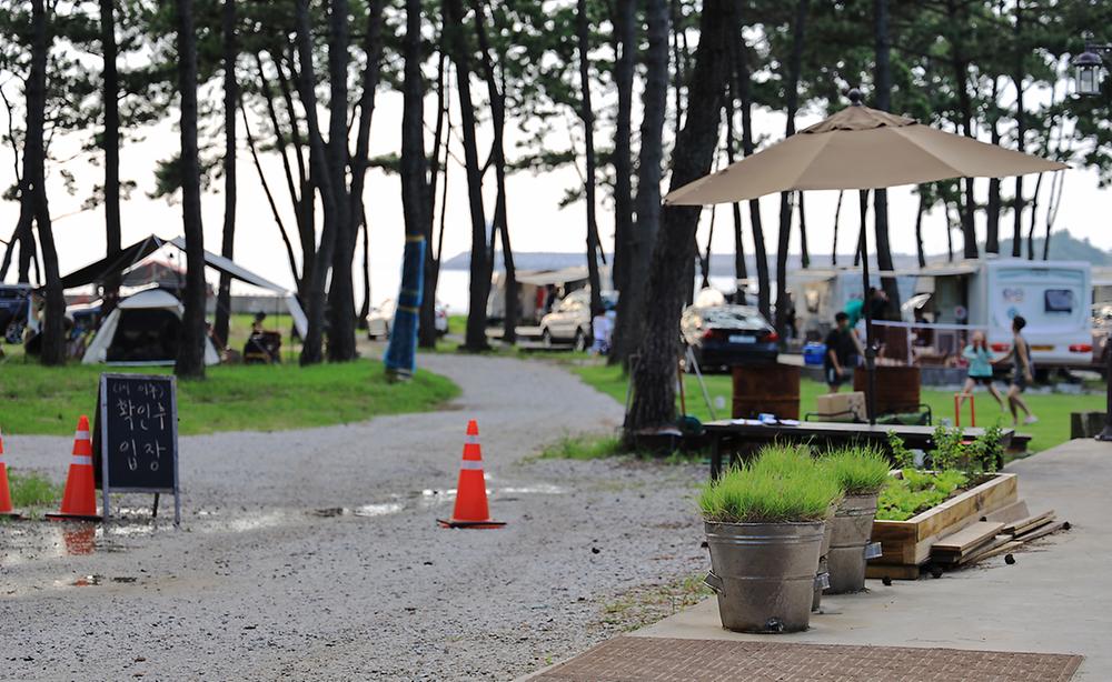 전북 고창 구시포 노을캠핑장 소개