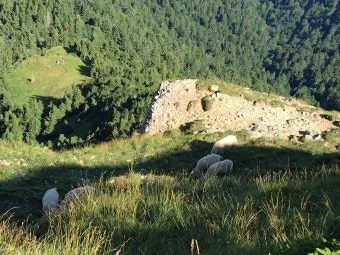스위스 리기산 당일치기 유람선산악열차하이킹 완벽 코스 후기로 안내_18