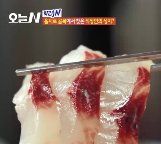 오늘N 퇴근후N 을지로 이모카세 숙성회 맛집 청계어시장