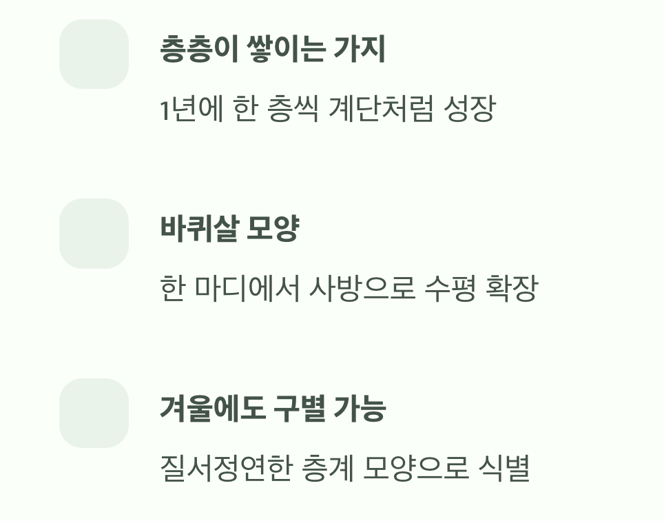 이름이 곧 신분증, 층층이 쌓이는 가지