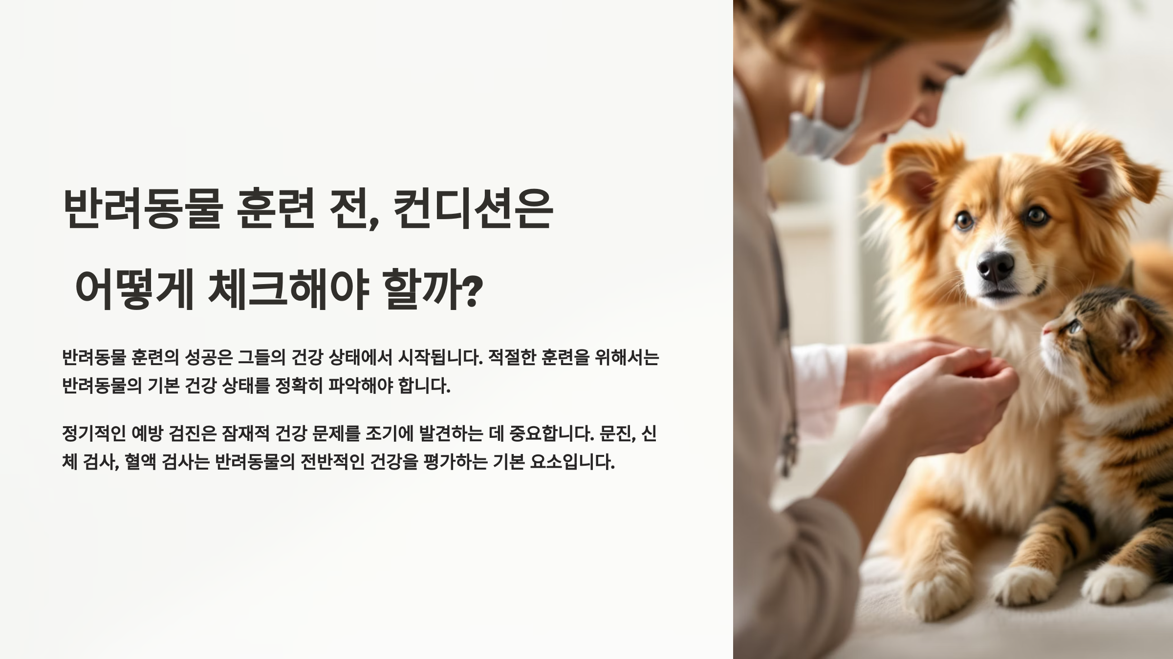 반려동물 훈련 전, 컨디션은 어떻게 체크해야 할까?