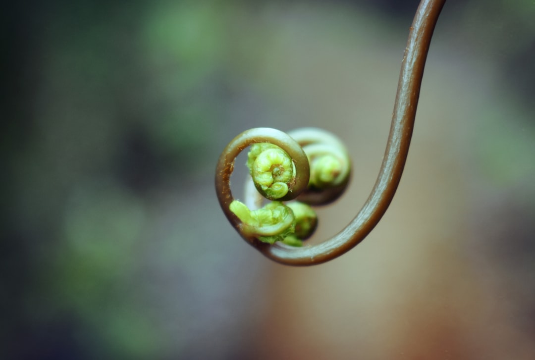 Growth.