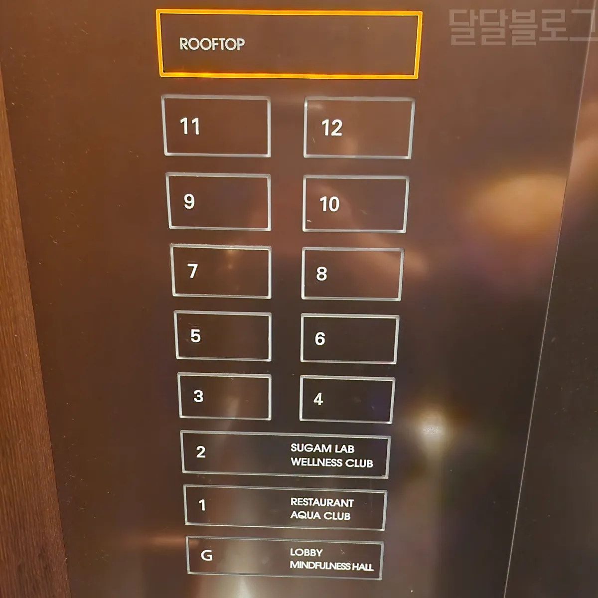 정선-파크로쉬-루프탑