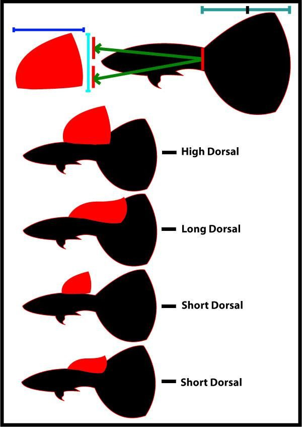 &copy; Charlotte Berg&amp;#44; Pinterest