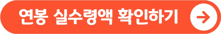 연봉 실수령액 확인하기
