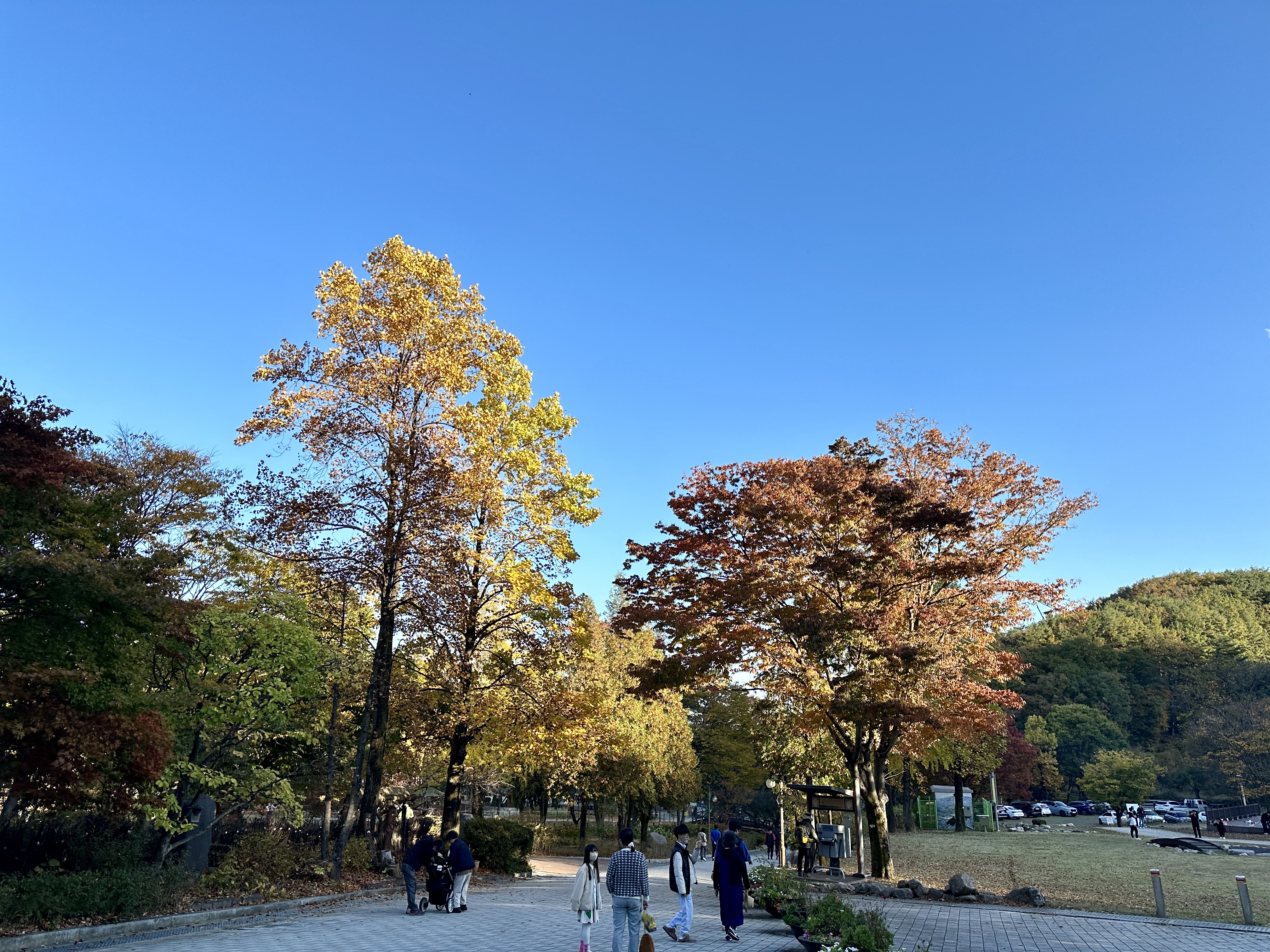 용문사 내려가는길