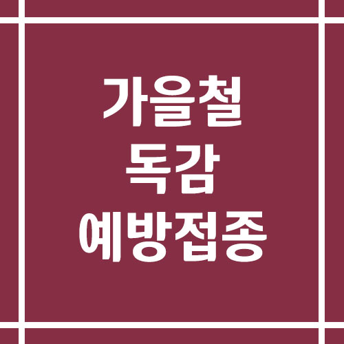 가을철 독감 예방접종 시기와 준비사항