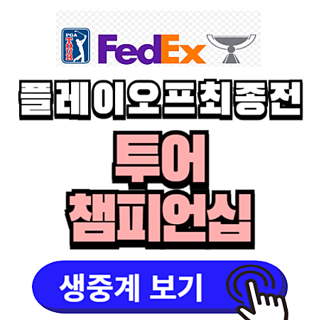 투어챔피언십