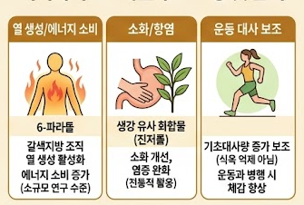 파라다이스그래인-효소-효능-내돈내산-효과-부작용-먹는방법-구입처