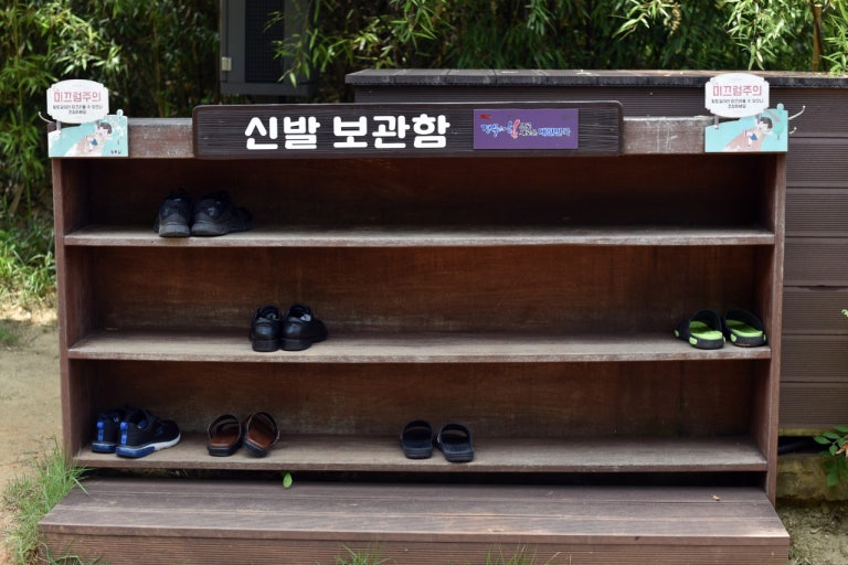 자연 속 힐링! 안동 천년숲 황토길 맨발걷기 체험 후기 관련 사진