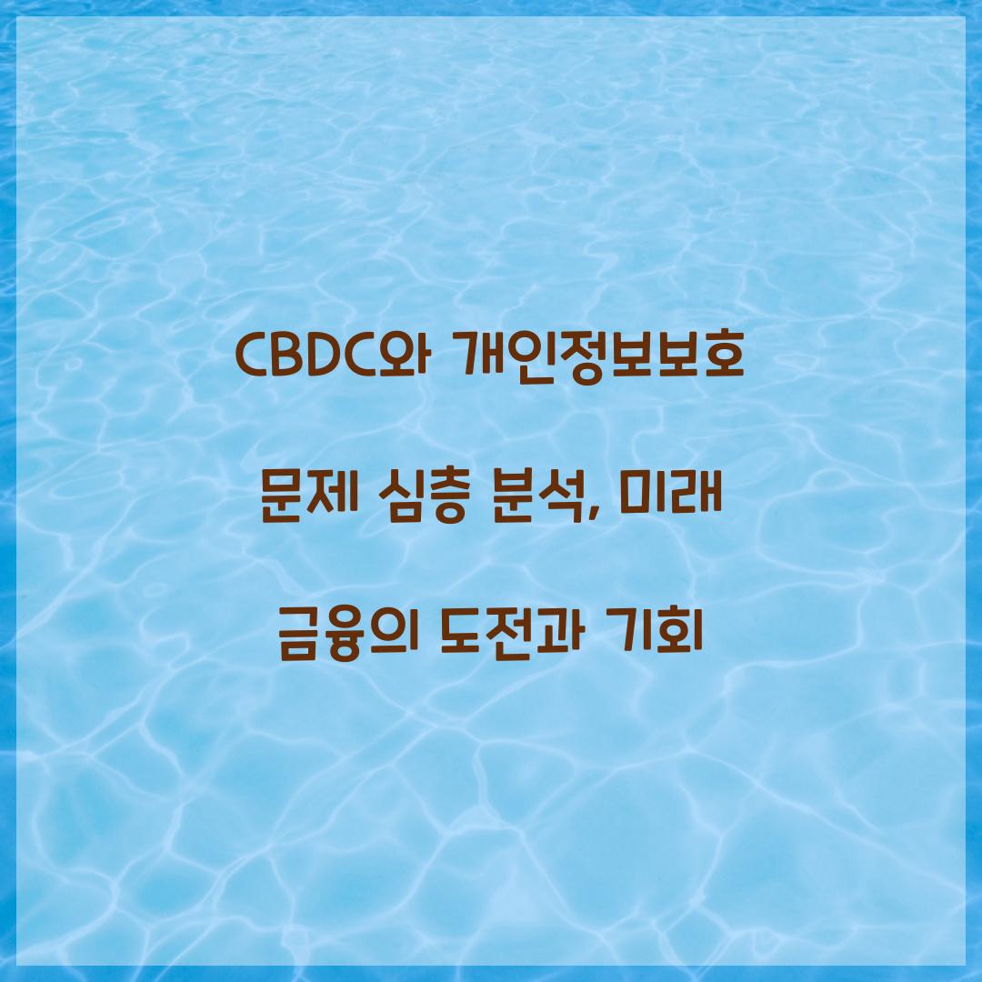 CBDC와 개인정보보호 문제 심층 분석