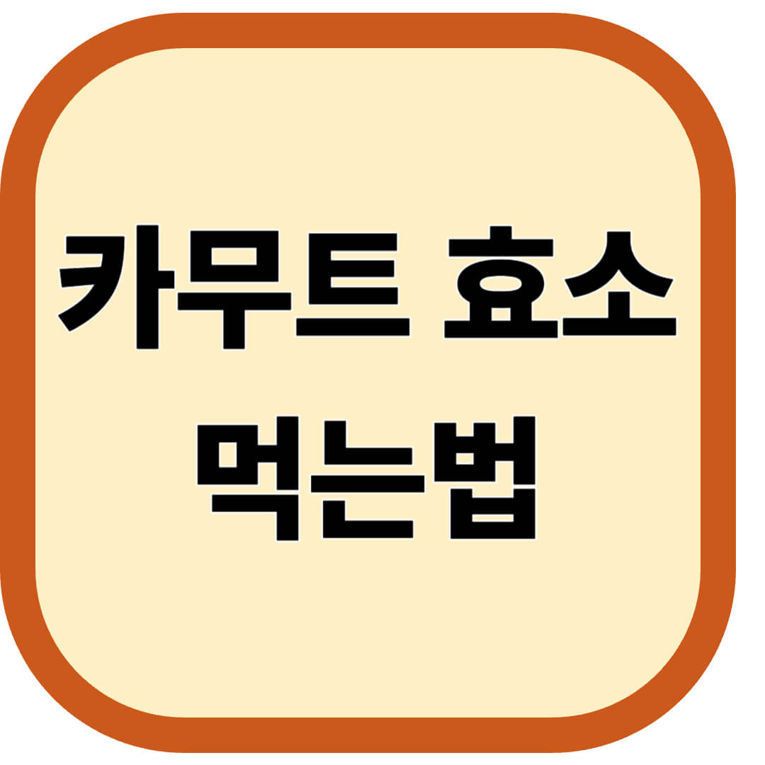 카무트 효소 먹는법