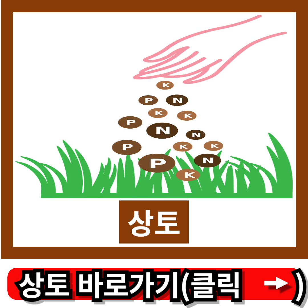 상토