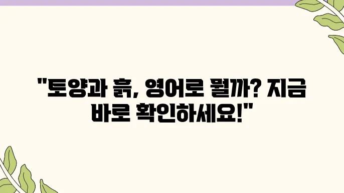 토양과 흙, 영어로 어떻게 표현할까요? 쉽게 알려드립니다