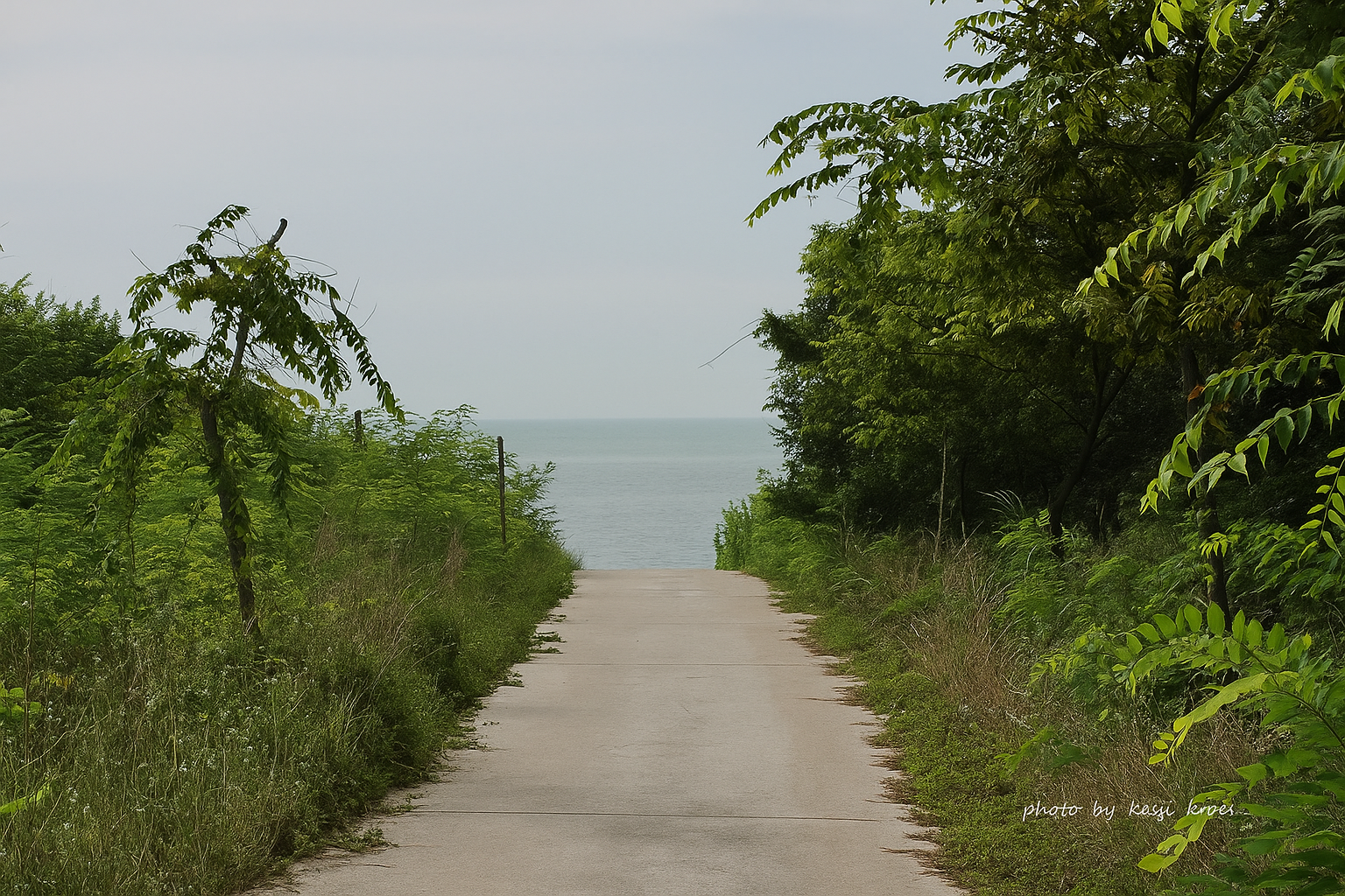 신안 비금도 하누넘 해안 사진