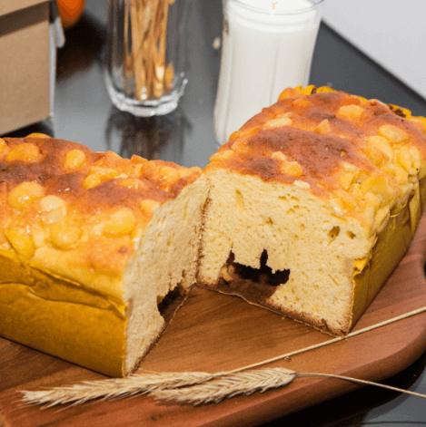 생방송오늘저녁 농부네빵집 경북 영천 호밀빵 터미널 빵집