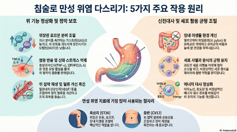 구로디지털단지 한의원 만성 위염에 대한 침구치료의 기전
