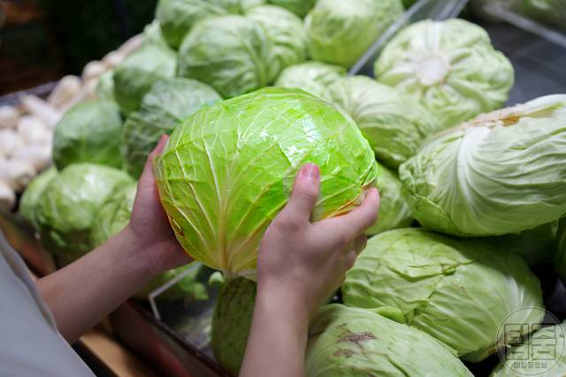 양배추 보관법 한달 양배추보관기간