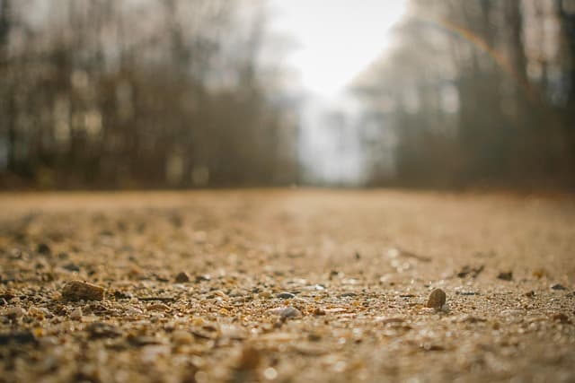 바이오차의 환경 영향 – 중금속 흡착, 미세먼지 저감, 수질 정화 기능