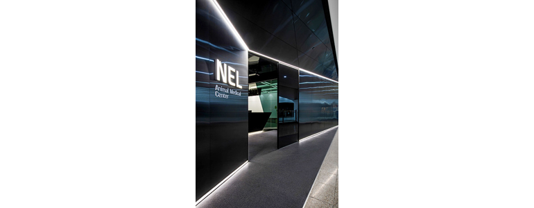 과천시 동물병원