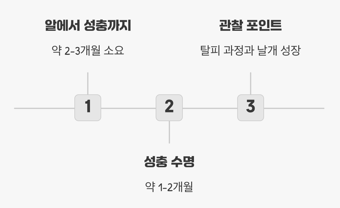 5. 짧은 생의 동반자, 관찰의 즐거움