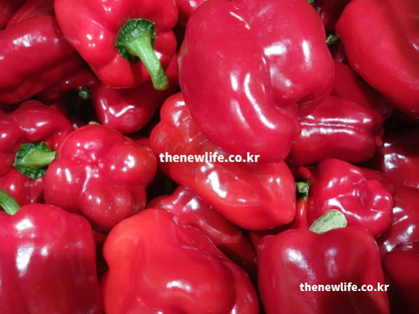피망 효능을 극대화하는 붉은색 리코펜이 가득한 빨간 피망의 실사진