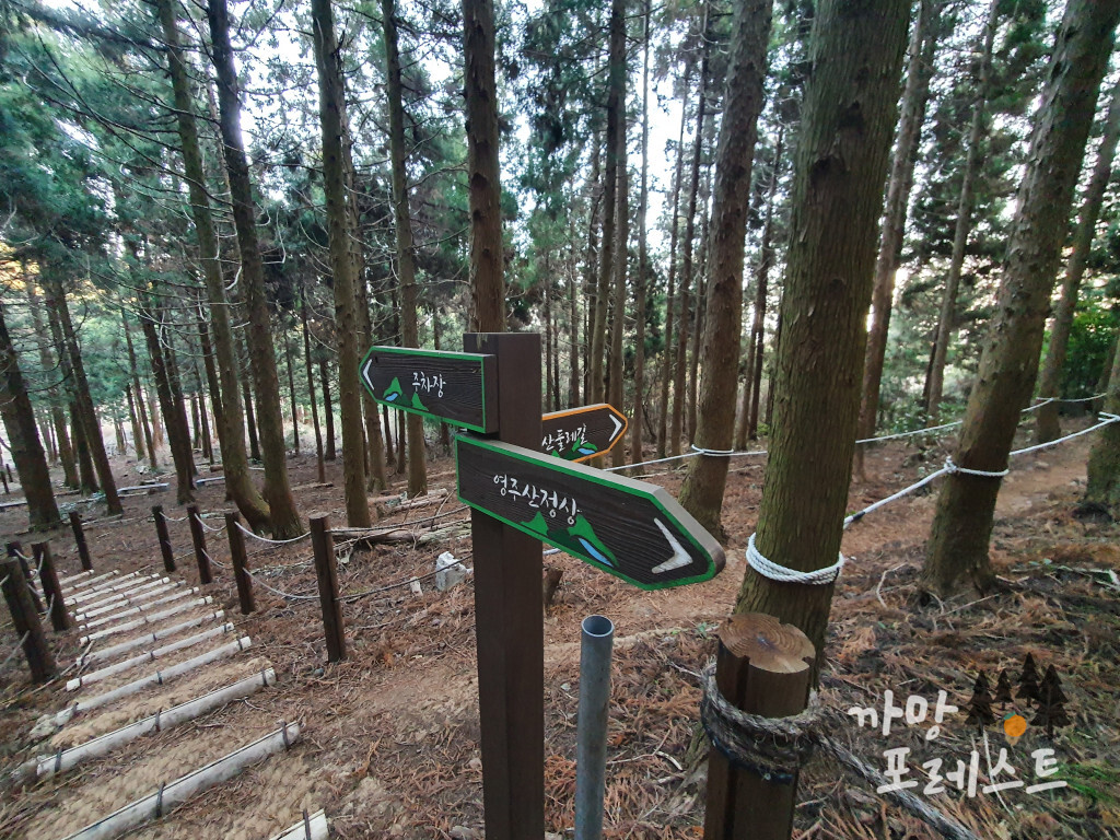 영주산 둘레길