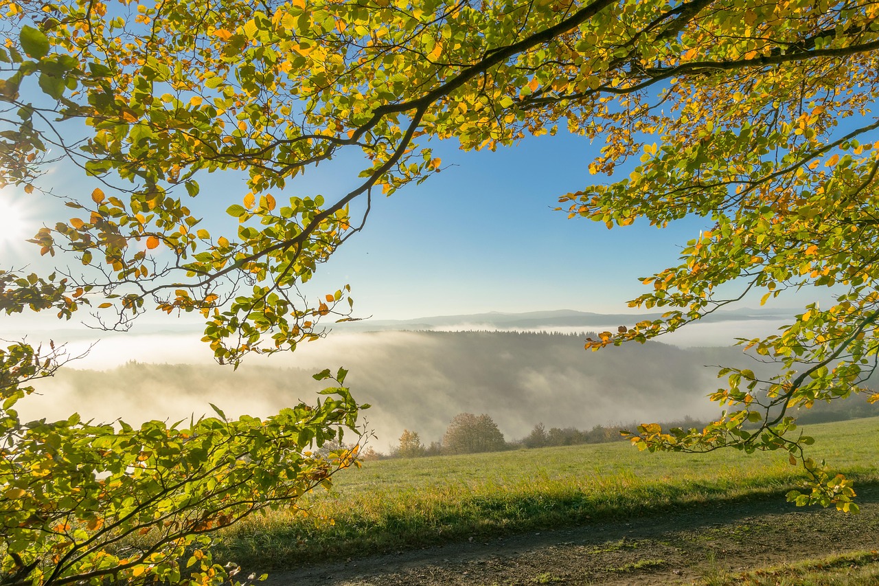 성수기 자연 휴양림 예약 일정