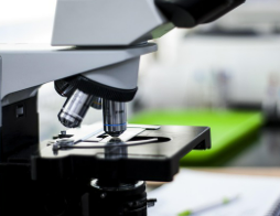 신라젠, 급성 골수성 백혈병 대상 BAL0891 임상 확대 승인 및 특허 취득