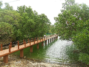 보라카이 여행 추천 루구탄 맹그로브 공원