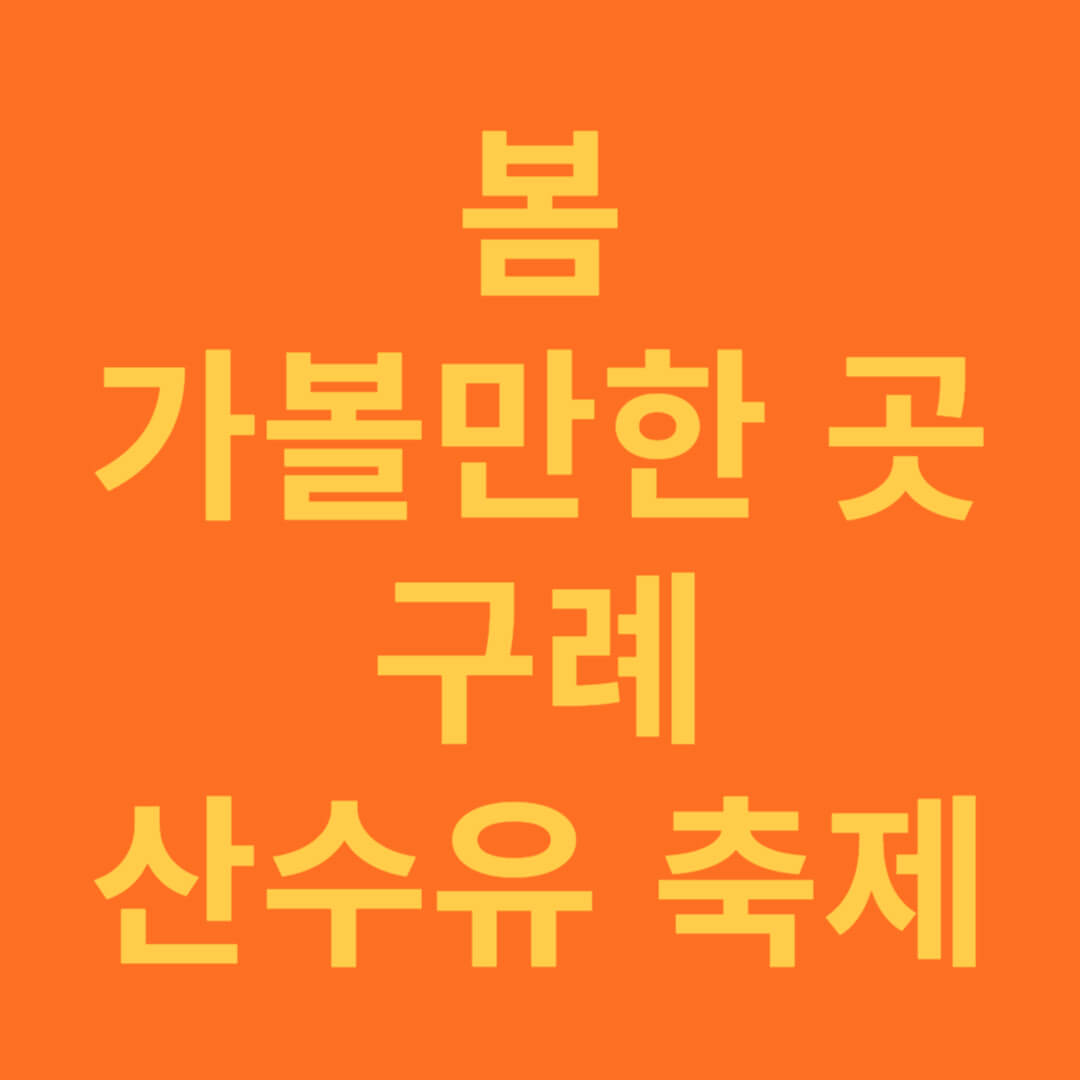 봄에 갈만한 곳 구례 산수유꽃 축제